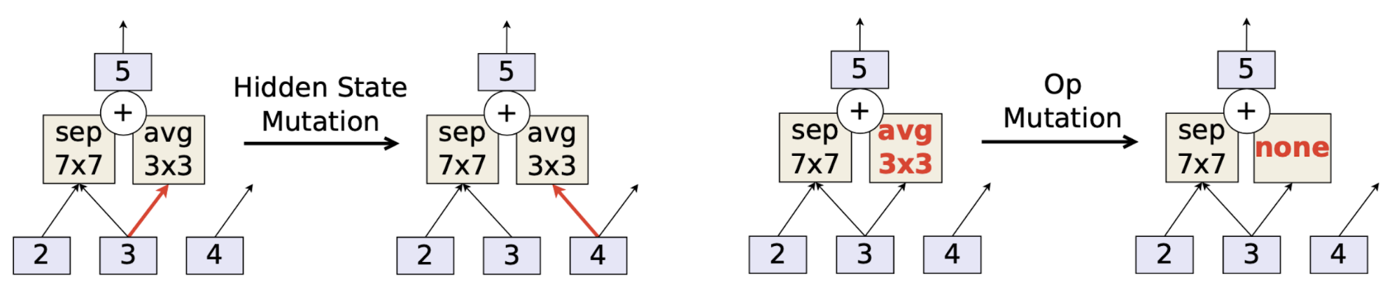 Mutations in AmoebaNet