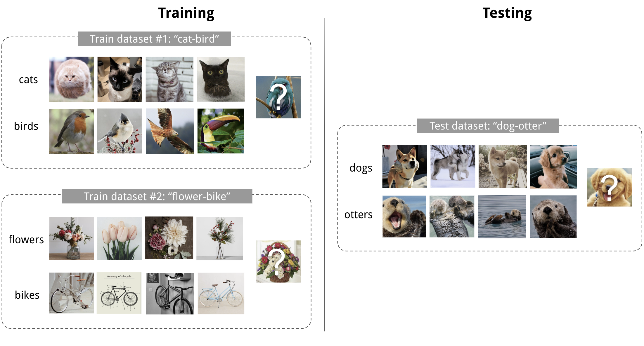 few-shot-classification