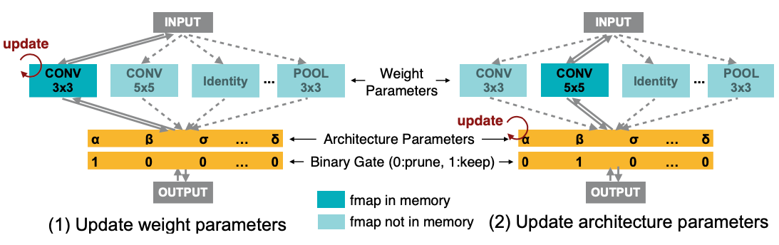 Training steps of ProxylessNAS