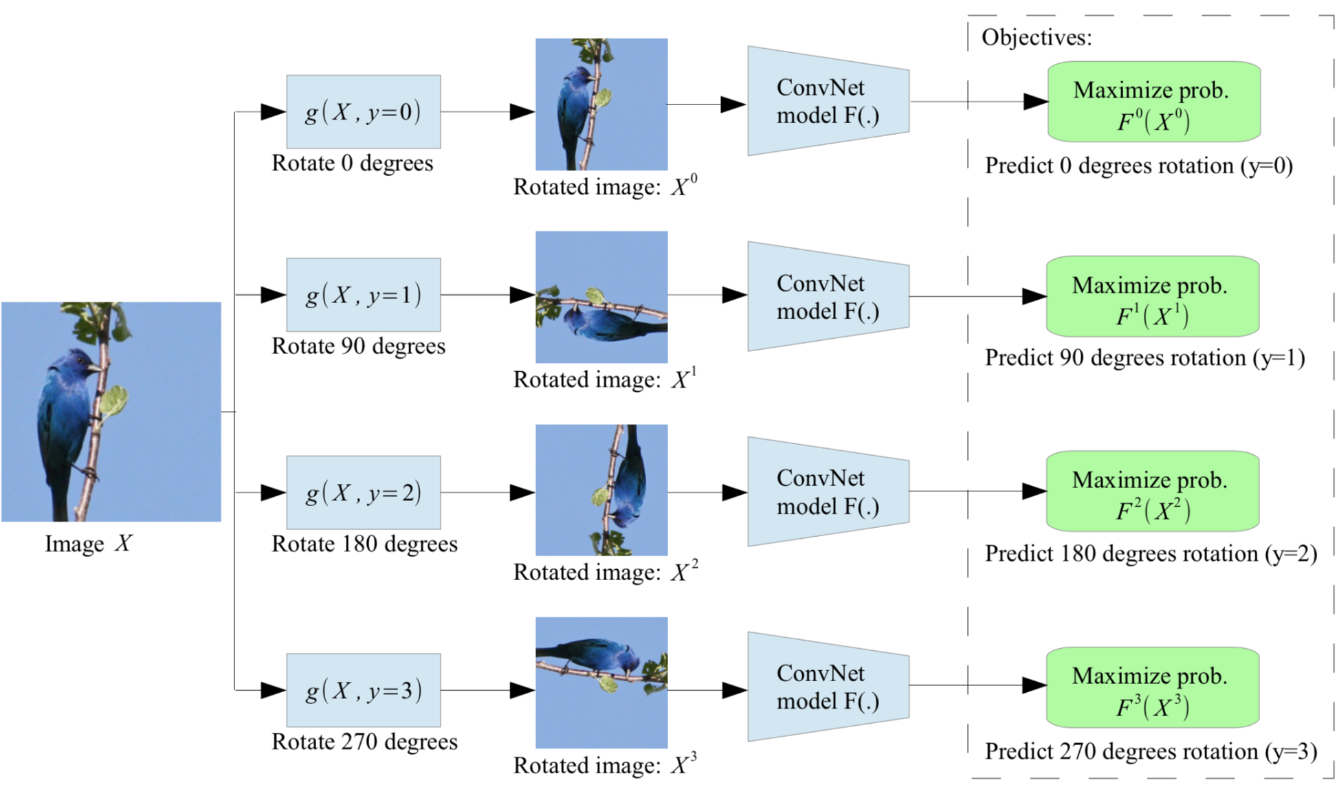 Self supervised by rotation prediction