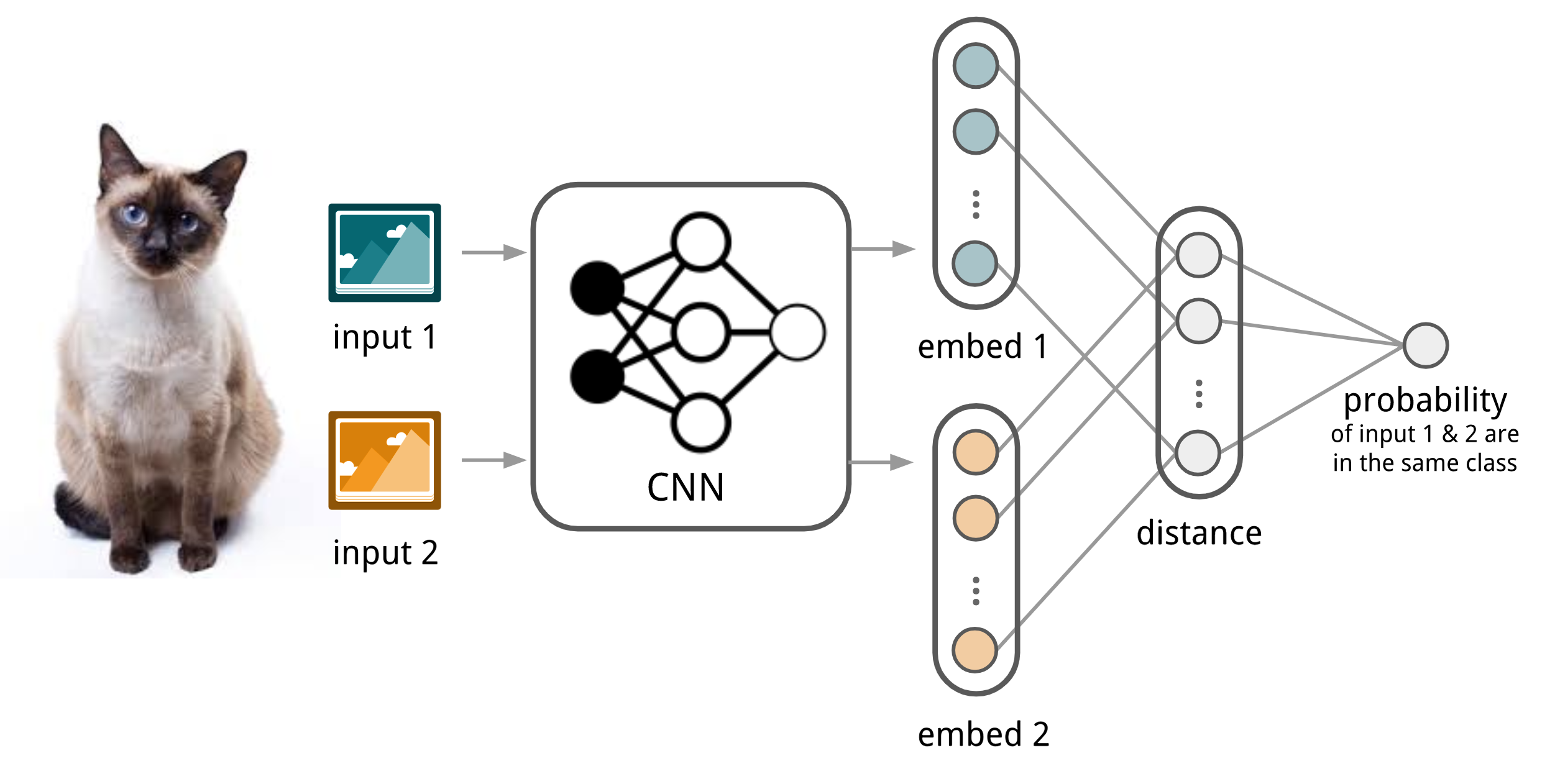The architecture of convolutional siamese neural network for few-show image classification._