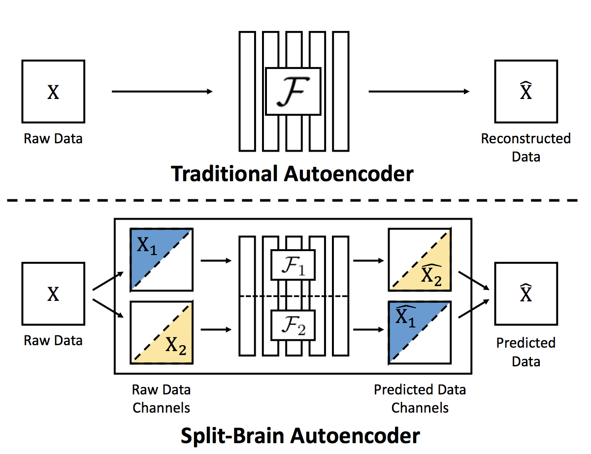 Split-brain autoencoder
